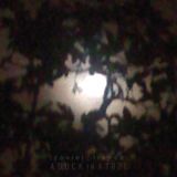 A Duck in a Tree 2016-02-20 | Finer Fragments