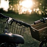 Rời một mùa yêu