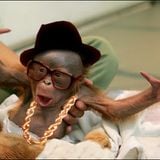 Baboon Shake The Room Mix (May 2013)