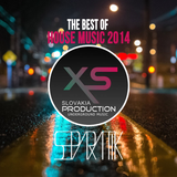 The Best Of House Music 2014 - By Separatik