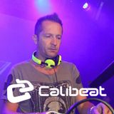 Mauro Picotto - Live at Tomorrowland 2013