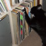 Vinyl Night III, the very definition of eclectic.