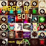 Electric Area #67 (Best of 2014)