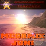 DJ Sepp - Megamix Juni 2003