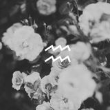 Hoofdstuk 11 (met Flako, Hudson Mohawke, Maribou State, Submerse, ...)