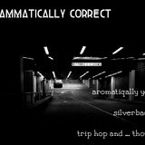 grammatically correct - silverback dj
