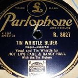 Randy Hall's Tin Whistle Blues