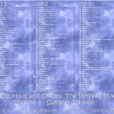 Cocktails And Chicks The Perfect Mix Volume 3 "Summer Edition" CD3