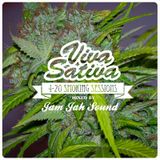 Viva Sativa Smokin' Session's - Jam Jah 4-20 - Jam Jah Sound's 4-20 Mix -2012