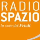 Lezions par furlan: Liceu Magrini (2)