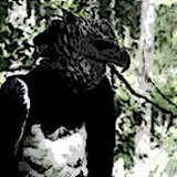 Vous êtes des animaux