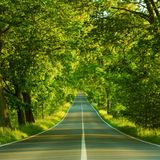 Trancemaster - Road to Dreamland (Episode 005)