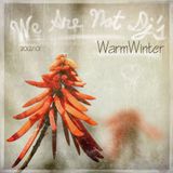 Downtempo (Warm Winter)