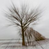 Winterrausch