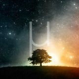 UNIVERSAL SOUNDS
