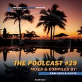 PSRP0029 // Poolcast Vol.29 // Mixed & Compiled By Profundo & Gomes