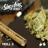 CWD - Trill 3 (16/05/11)