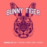 Sharam Jey - Here I Come - Bunny Tiger Music004