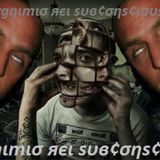 ¢σgηιтισ яєι ѕυв¢σηѕ¢ισυѕ - гเtรςђฬย๓ in the mix