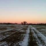 smoof - December 2011