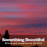 Dj Polu - Something Beautiful 15