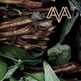 World Ayahuasca Conference Ibiza 2014