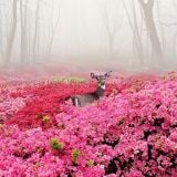 Autumn Love 2014