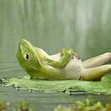 Lost In Chillout - Eudaimonia "Sunday Of Love" Free Party - Forlanini Park - Milan