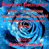 Bluetown Electronica show 14.02.16