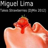 Miguel Lima - Takes Strawberries (DjMix 2012)