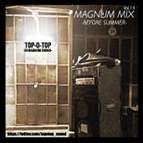 MAGNUM MIX VOL.14 -BEFORE SUMMER-