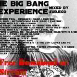 the big bang experience