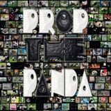 Prop The Panda