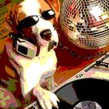 Michael Dog - Planet Dogmix show on Interface Radio 13/2/98