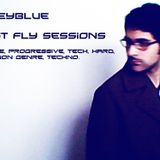 First Fly 2nd chapter