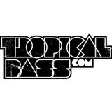 Lazy Flow - Exclusive Mix for Tropicalbass