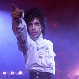 Prince Mini Mix