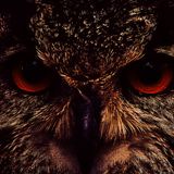 Techno Mix # A Wild Session 2