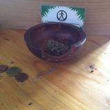 Reggae short garden session