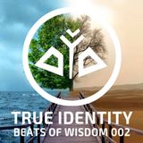 True Identity - Beats of Wisdom 002 (2hr Live DJ Set 432hz dance music)