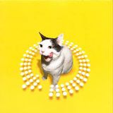 Peter Rauhofer - Twist This Pussy (1998)