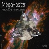 MegaHast3r-Whale_In_Heat