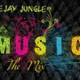 DEE JAY JUNGLE - Made In Romania Dance Promo Vol 24