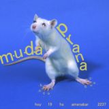 m.u.d.a un abril 2015