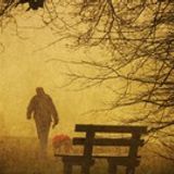 Autumn fades, winter looms.