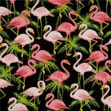 Autonomous Africa Awesome Tape #5