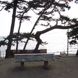 2012 summer @ royal beach hayama