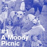A Moody Picnic