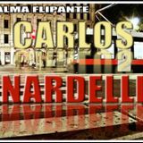 SET ALMA FLIPANTE 6