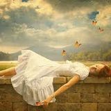 DECLINING SUMMER DREAMS